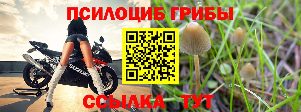 Галлюциногенные грибы Psilocybine cubensis  Вход с VPN  Алушта 